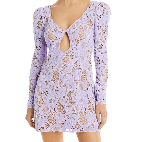 Rosemary lined mini dress NWOT - Picture 2 of 5